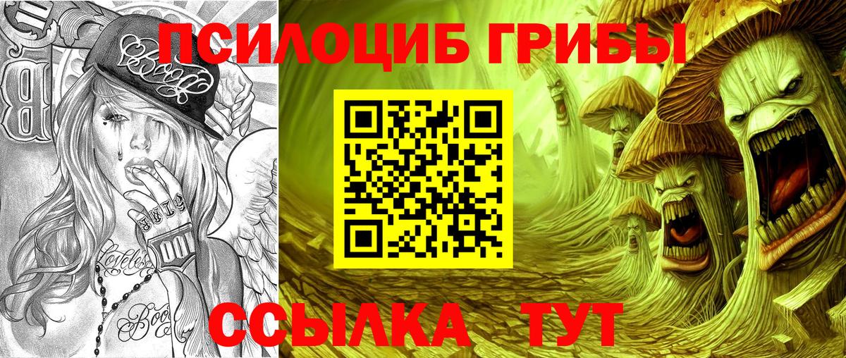 магазин продажи наркотиков  Вход с VPN  Галлюциногенные грибы прущие грибы  Фурманов  Галлюциногенные грибы MAGIC MUSHROOMS 
